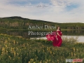 Amber Drew Photography LLC